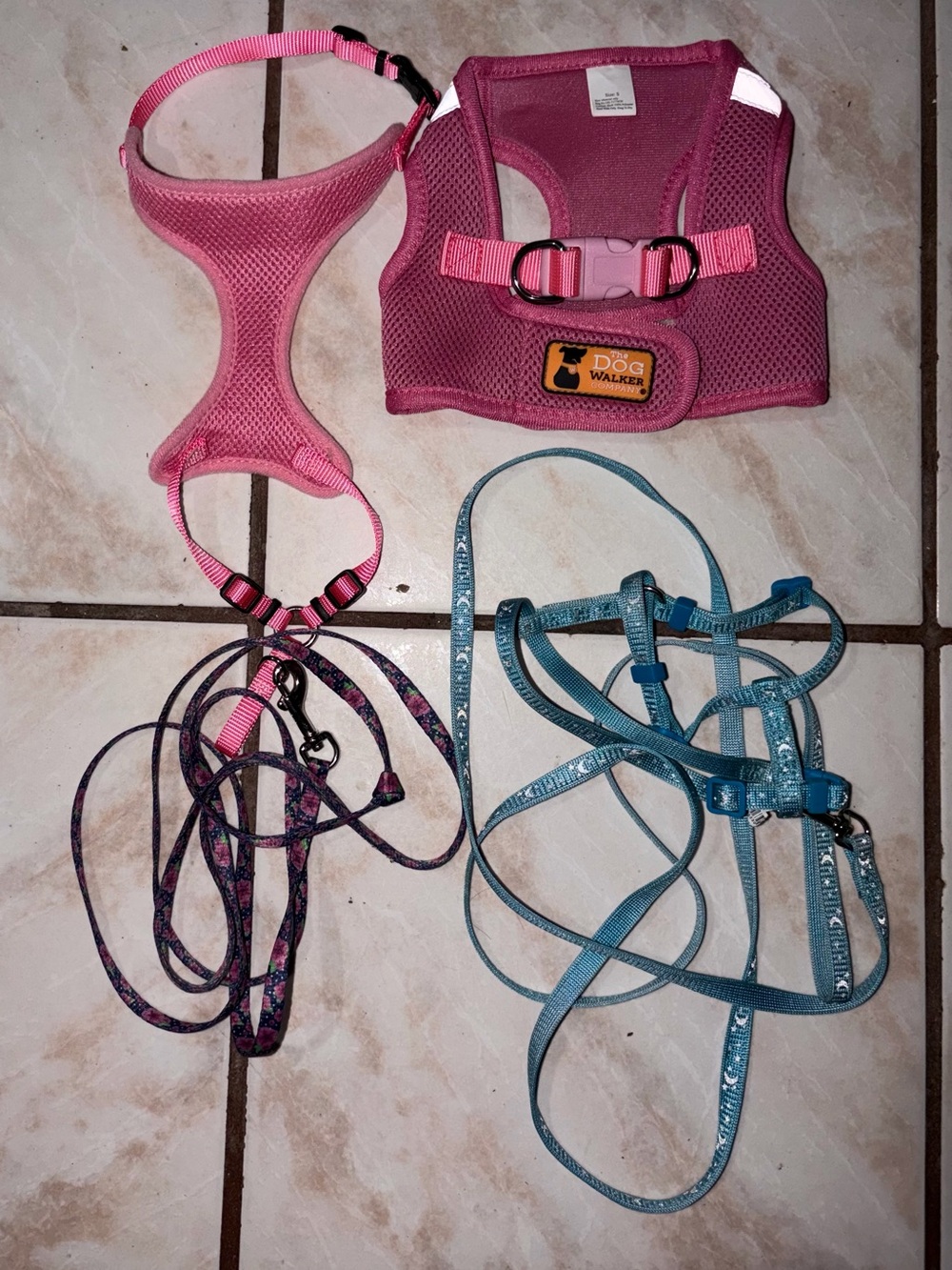 Dog accessories bundle size S